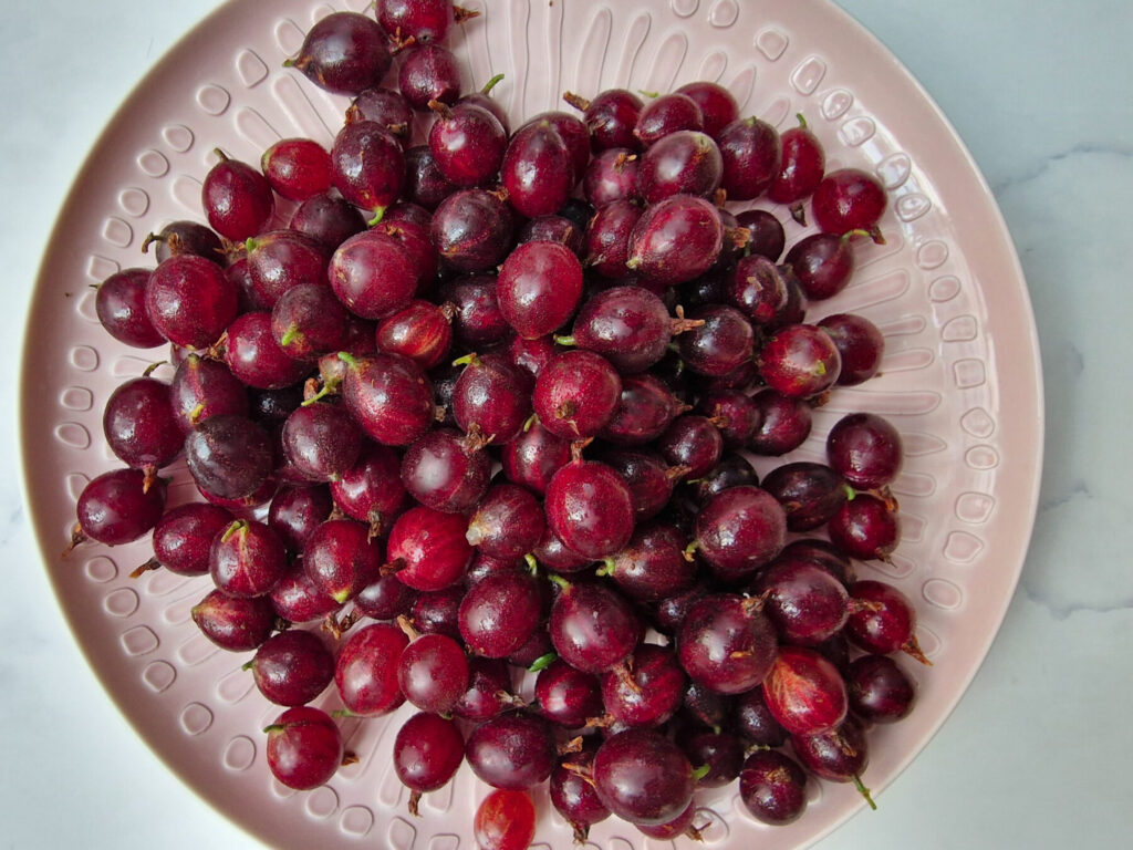 Zutaten Stachelbeeren