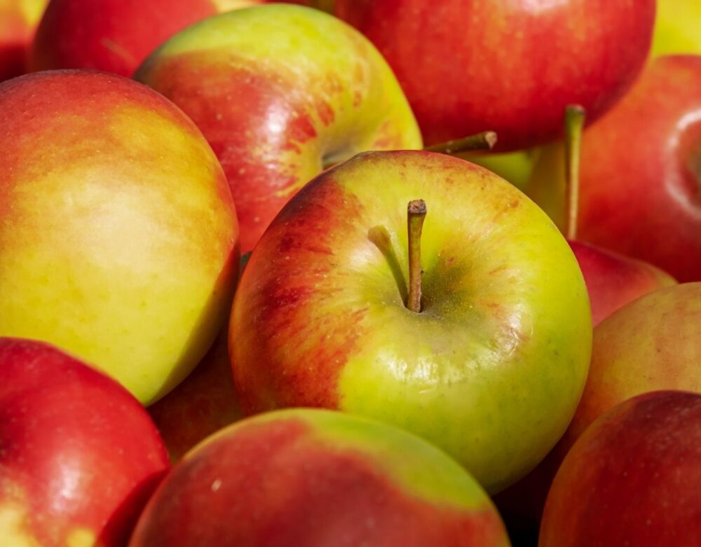 Backäpfel Welche Apfelsorten eigenen sich zum Backen?