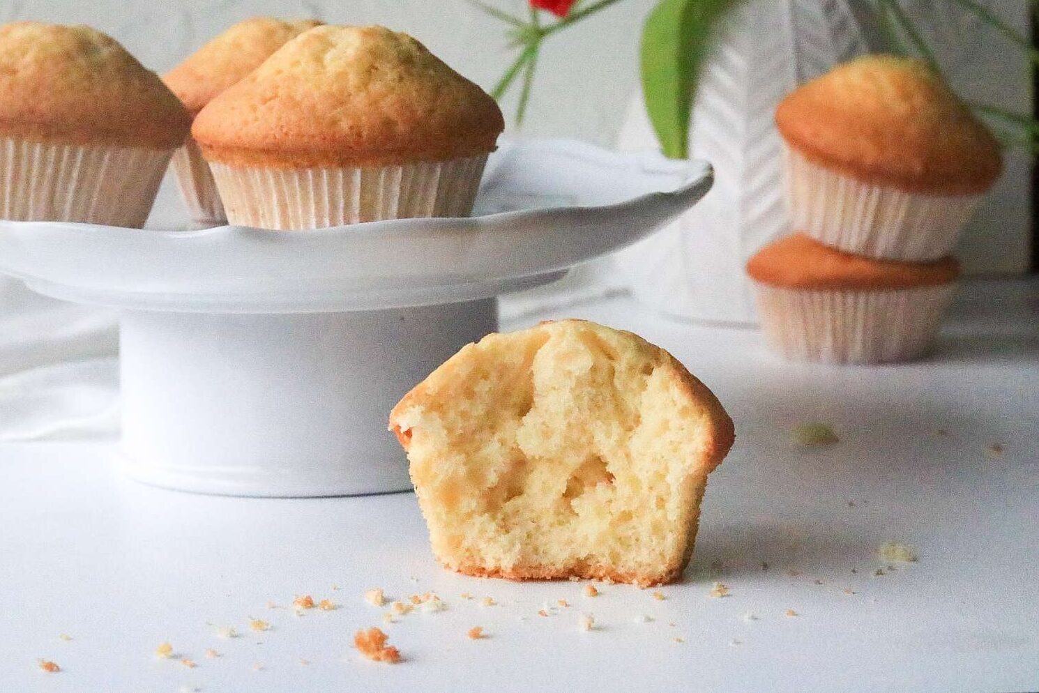 Grundrezept Muffins mit Öl ohne Butter 