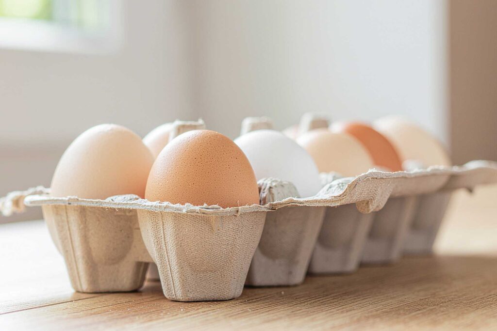 Eier