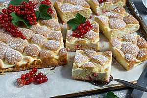 Steppdeckenkuchen mit Johannisbeeren