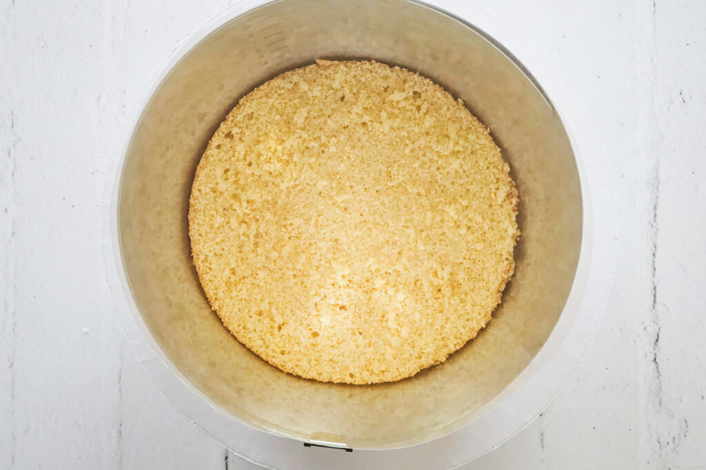 Ostertorte-mit-Mascarpone_Boden-in-Tortenring